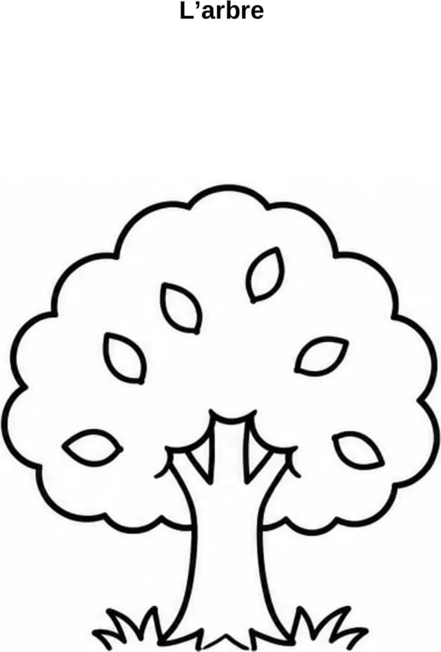 Aperçu du coloriage Arbre